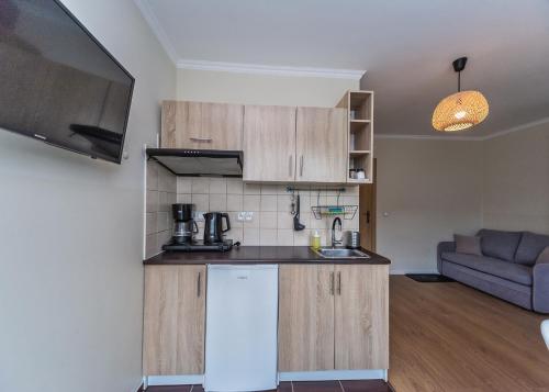 a kitchen and a living room with a couch at Willa Aleksandra - Apartamenty in Międzybrodzie Żywieckie