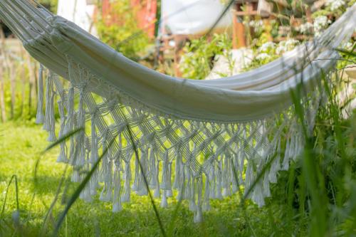 Un jardín fuera de Hostel oder Ferienwohnung 1-16 Personen im BLAUEN HAUS