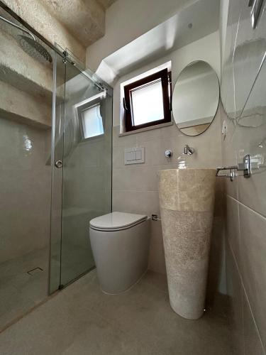 a bathroom with a toilet and a shower and a mirror at Il Trullo di Bina in Pezze di Greco