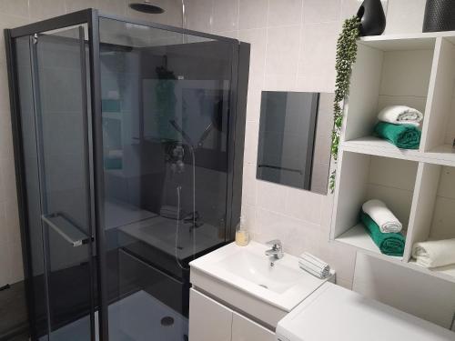 une salle de bain avec douche et lavabo dans l'établissement Costa Del Calès, à Calais