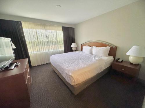 Crowne Plaza Suites Arlington, an IHG Hotel Image