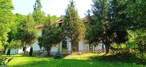 a white house with trees in front of it at INTRE CASCADE in Baia de Arieş