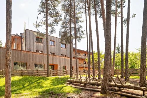 a house in the woods with trees at Schartneralm Kiefer Family in Collalbo
