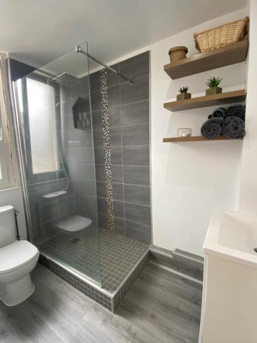 une salle de bain avec une douche avec des toilettes et un lavabo dans l'établissement La petite cabane d'Onésime, à Fécamp