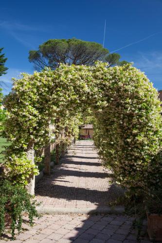 an arch covered in white flowers on a pathway at Villa Borri in Casciana Terme