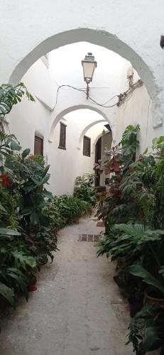 Κήπος έξω από το Maison De La Lune
