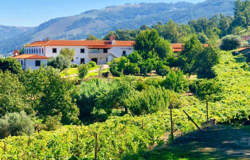 a house in the middle of a vineyard at Quinta das Fontes in Poças do Monte
