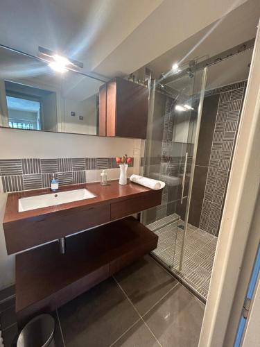 une salle de bain avec un lavabo et une douche dans l'établissement Magnifique villa mougins, à Mougins