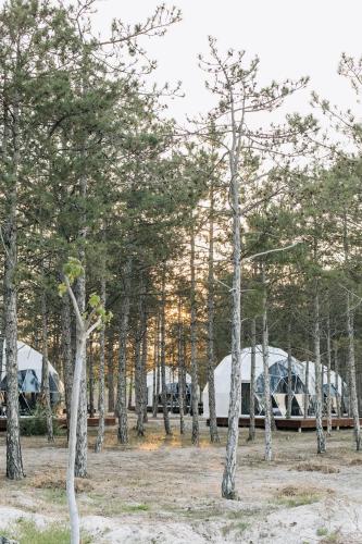 a group of tents in a forest with trees at Moncastro Glamping in Vylkove