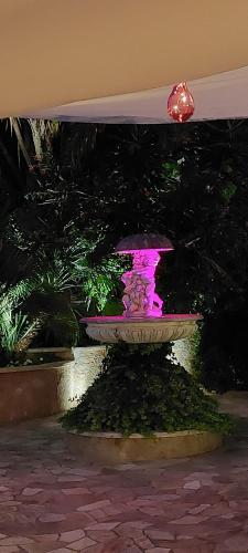 a pink fountain in a park at night at Bellavista Versilia in Pietrasanta
