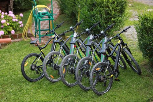 a row of bikes parked in the grass at Garić Bajka in Križevci