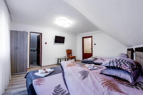 a living room with two beds and a tv at Pensiunea Mariana in Baia de Fier