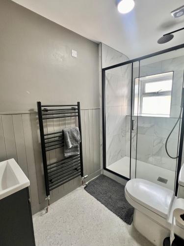 a bathroom with a shower and a toilet and a sink at Luxury Apartment in Rostrevor in Rostrevor