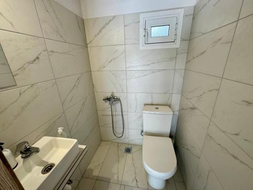 a bathroom with a toilet and a sink at Gregory's Guest House in Stómion