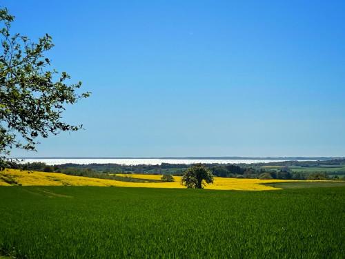 Maglebjerggaard Gæstgiveri