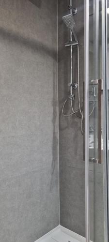 a shower with a glass door in a bathroom at Garden House in Pruszcz Gdański