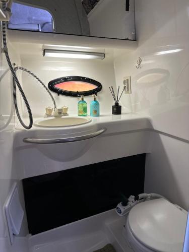 a bathroom with a sink and a toilet at Yachthouse in Plateliai