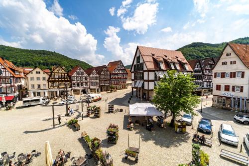 an aerial view of a town with buildings at Apartments am Marktplatz in Bad Urach
