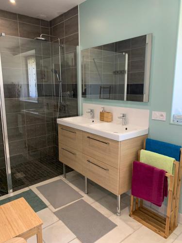 une salle de bain avec un lavabo et une douche dans l'établissement Gîte 6 P au cœur des vignobles, à Lazenay