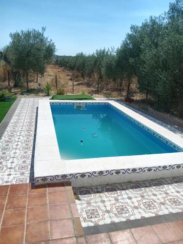 Πισίνα στο ή κοντά στο Habitacion en la Finca Casa Halcon