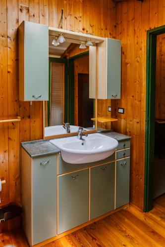a bathroom with a sink and a mirror at Cozy Castello in Manerba del Garda