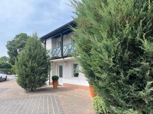 two large trees in front of a house at Gasthaus & Pension "Zur Schaabe" in Glowe