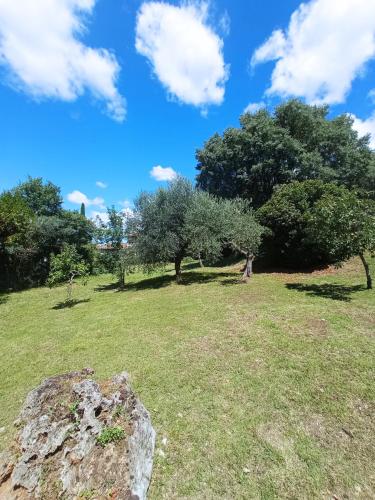 a person walking in a field with trees at All'Ombra di San Damiano in Assisi