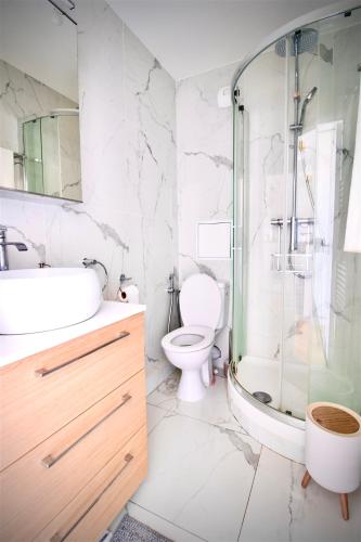 une salle de bain avec toilettes, douche et lavabo dans l'établissement Luxury 2 rooms Apartment with balcony, à Puteaux