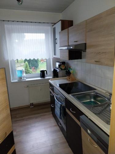 Cuina o zona de cuina de Ferienwohnung Einsiedel