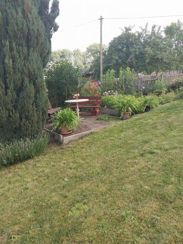 Jardí fora de Ferienwohnung Einsiedel