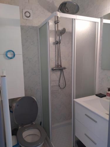 une salle de bain avec une douche avec des toilettes et un lavabo dans l'établissement Studio de la pinède, à Nissan-lez-Enserune