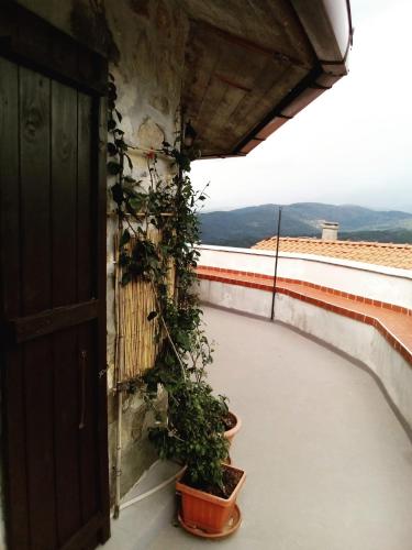 a balcony with plants growing on the side of a building at Casa vacanza toscana in Fivizzano