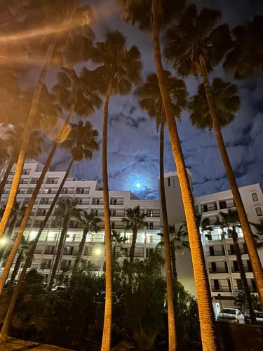 Gallery image of Viña del Mar in Playa Fañabe