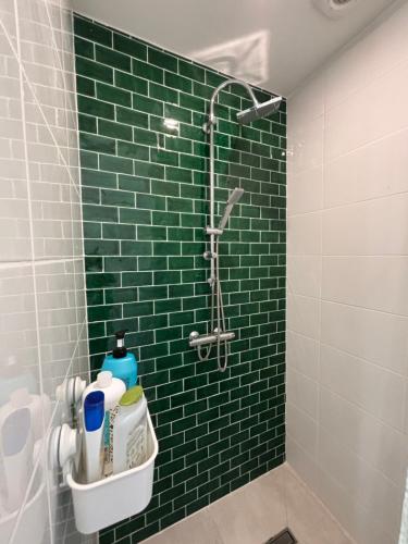 Bilik mandi di L'Herboriste - Appartements meublés