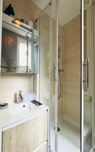 une salle de bain avec un lavabo et une douche dans l'établissement Charmant Appartement au cœur de Montmartre!, à Paris