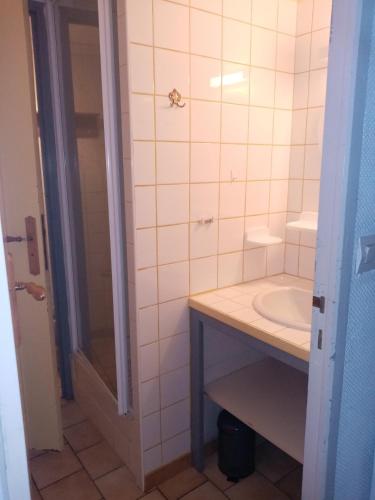 une salle de bain avec un lavabo et une douche dans l'établissement Le Randonneur, à Chastreix