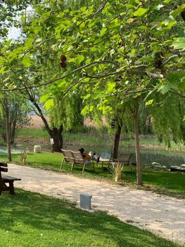 Κήπος έξω από το Costa Verde Natura
