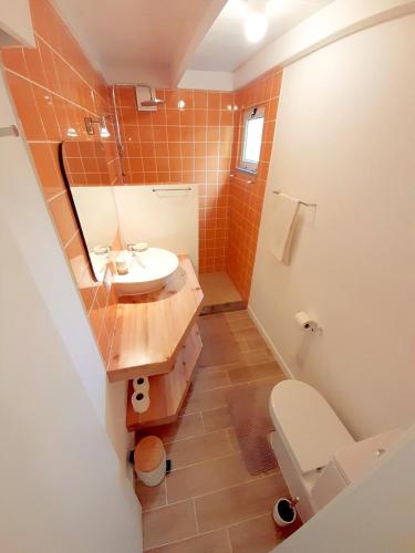 a small bathroom with a sink and a toilet at Cottage at FLAMINGAS PLACE in Lajes do Pico