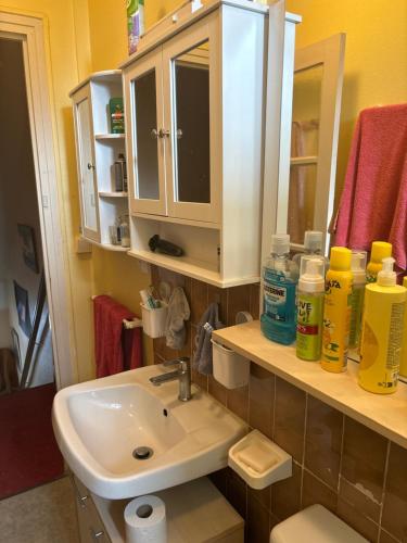 a bathroom with a sink and a mirror at chambre d hotes chez josiane in Mayenne