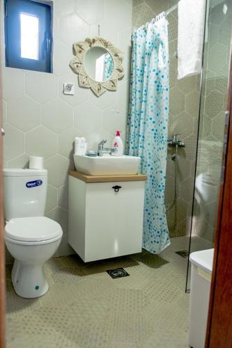 a bathroom with a toilet and a sink and a shower at Stara Kruska in Podgorica