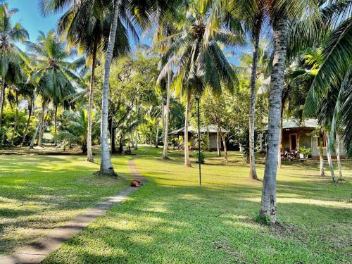 a path in a park with palm trees and a house at Yonan River Face Safari Resort in Udawalawe