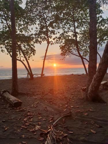 a sunset over the ocean with trees on a beach at Manzanillo Ecolodge in Golfito