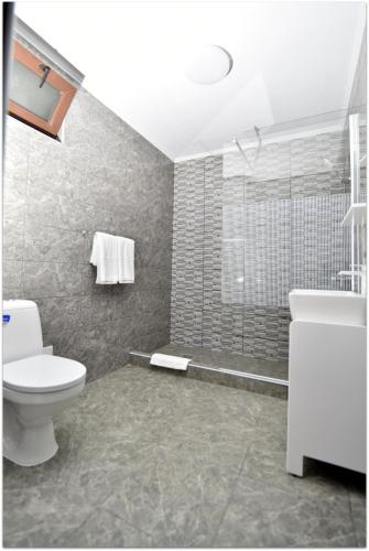 a bathroom with a toilet and a shower and a sink at La Relian in Partizanii