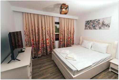 a bedroom with a bed and a tv and a window at La Relian in Partizanii