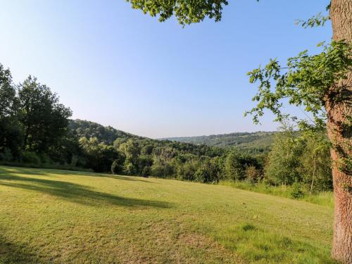 a field with a tree and mountains in the background at The Barn at Catacol in Belper