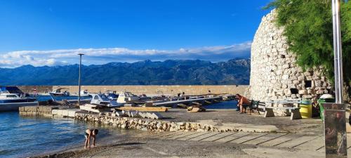 een groep boten aangemeerd op een dok in het water bij Posolica in Ražanac