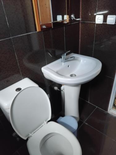 a bathroom with a white toilet and a sink at Заза in K'obulet'i