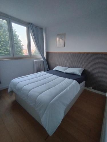 - un grand lit dans une chambre avec 2 fenêtres dans l'établissement Appartement proche gare et petit déjeuner, à Tourcoing