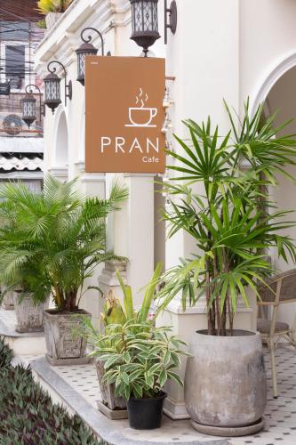 a group of potted plants in front of a building at Pran At Kumuang Boutique House in Chiang Mai