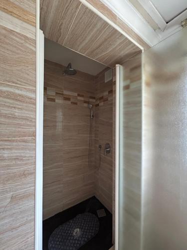 a bathroom with a shower with a toilet in it at Marbella Beach House in Estepona